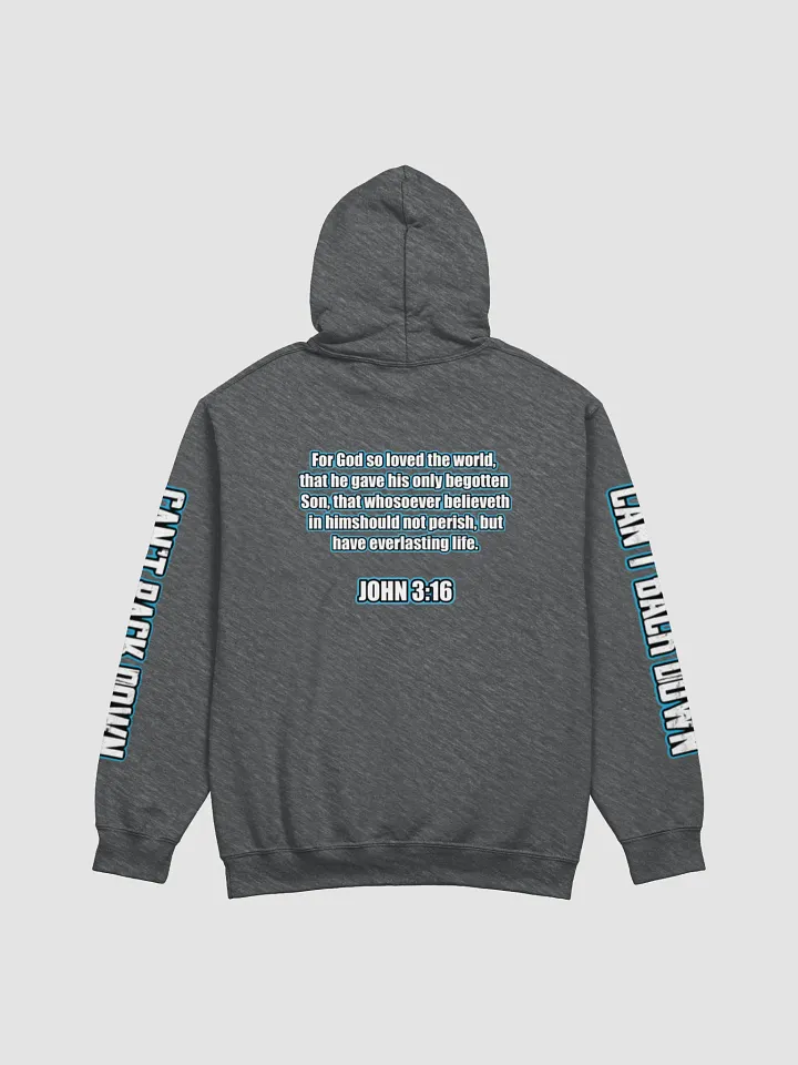 TeNN4OUR (Scripture) Hoodie (John 3:16) product image (4)