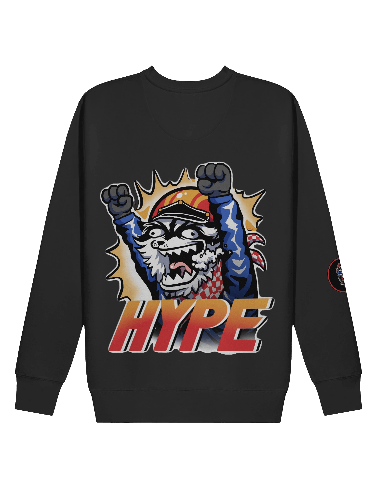 HYPE Longsleeve product image (5)
