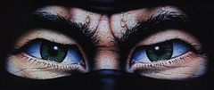LastNinja#1