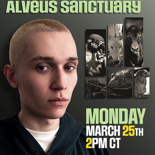 Guess who's back

@jackmanifoldtv will be live from Alveus TOMORROW!
March 25th @ 2pm CT on twitch.tv/jackmanifoldtv

#alveus...