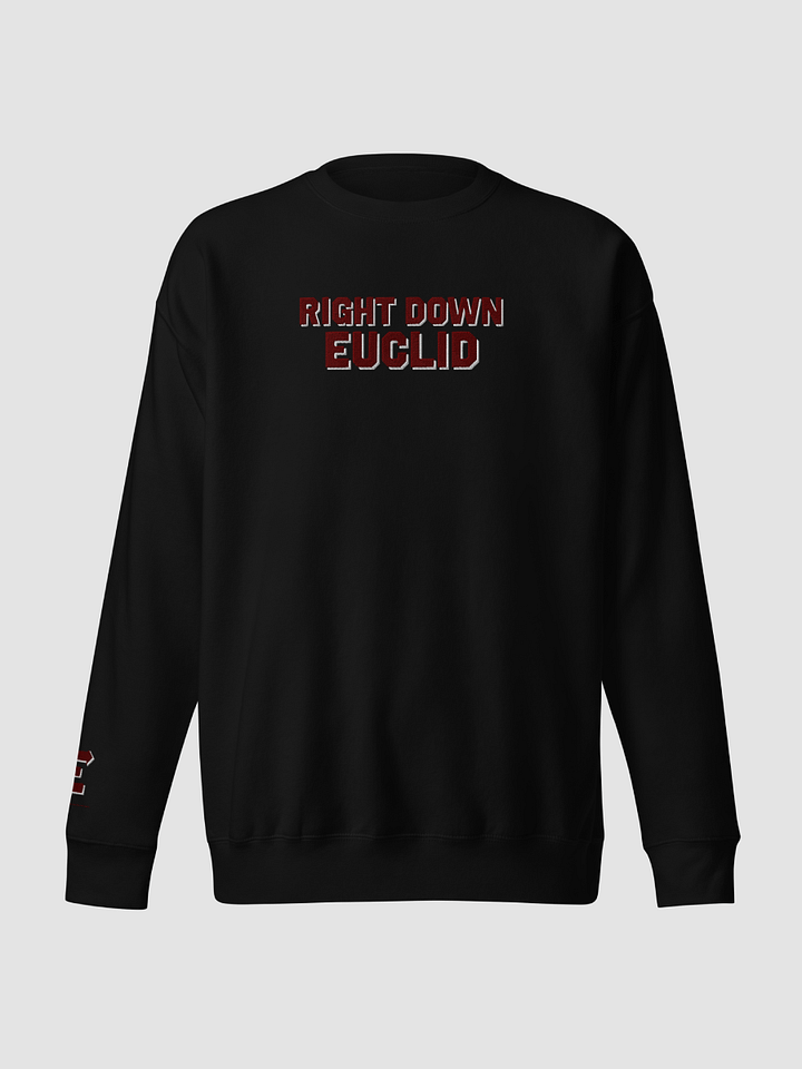 Right Down Euclid Crewneck Sweatshirt product image (2)