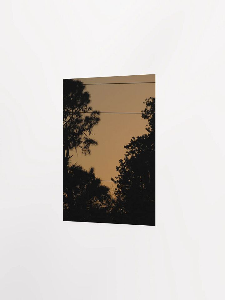 FL Orange Sky product image (18)