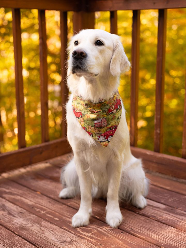 Golden Vintage Autumn Bandana product image (1)