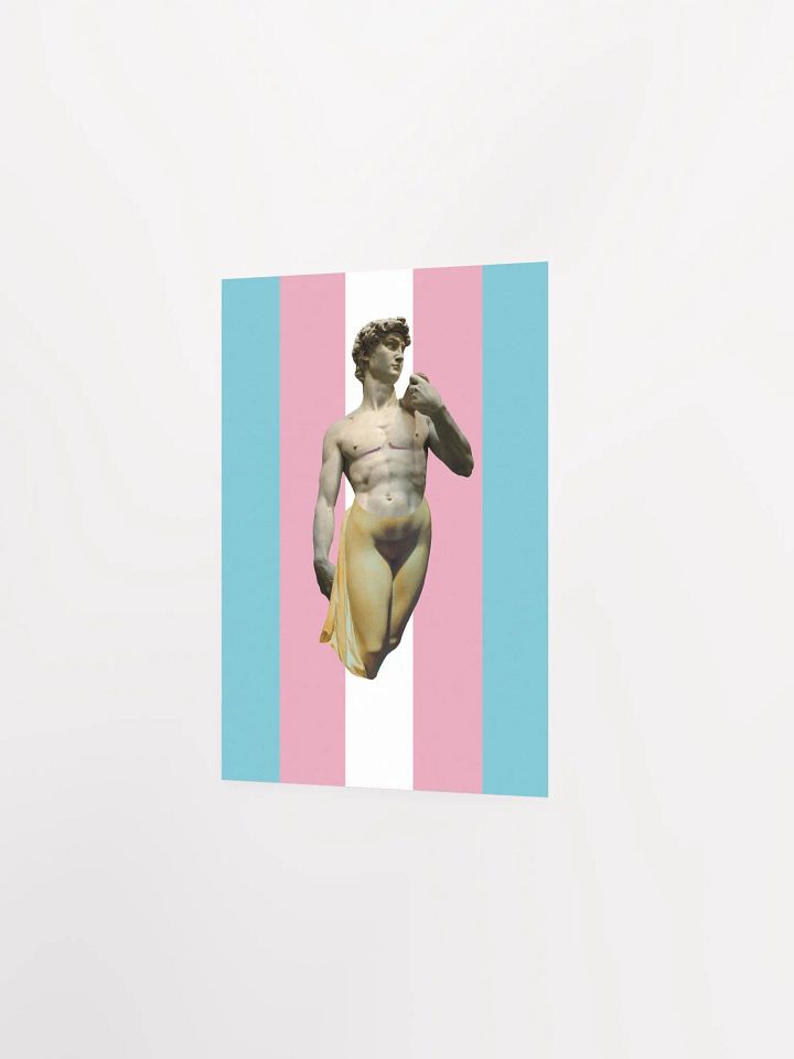 Trans Day of Visibility 3 Poster product image (2)
