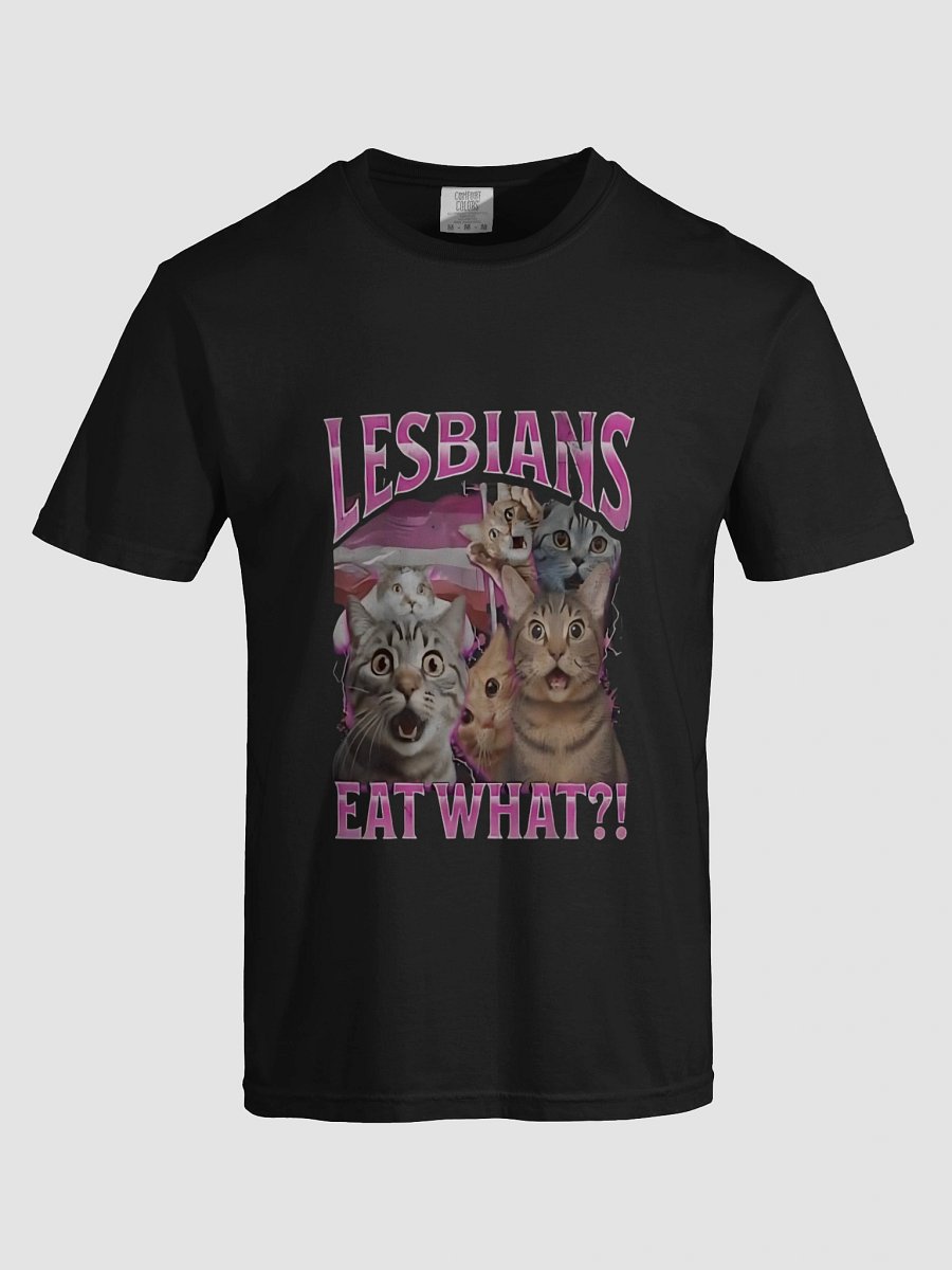 Surprised Cats Lesbians Eat What T-shirt product image (5)