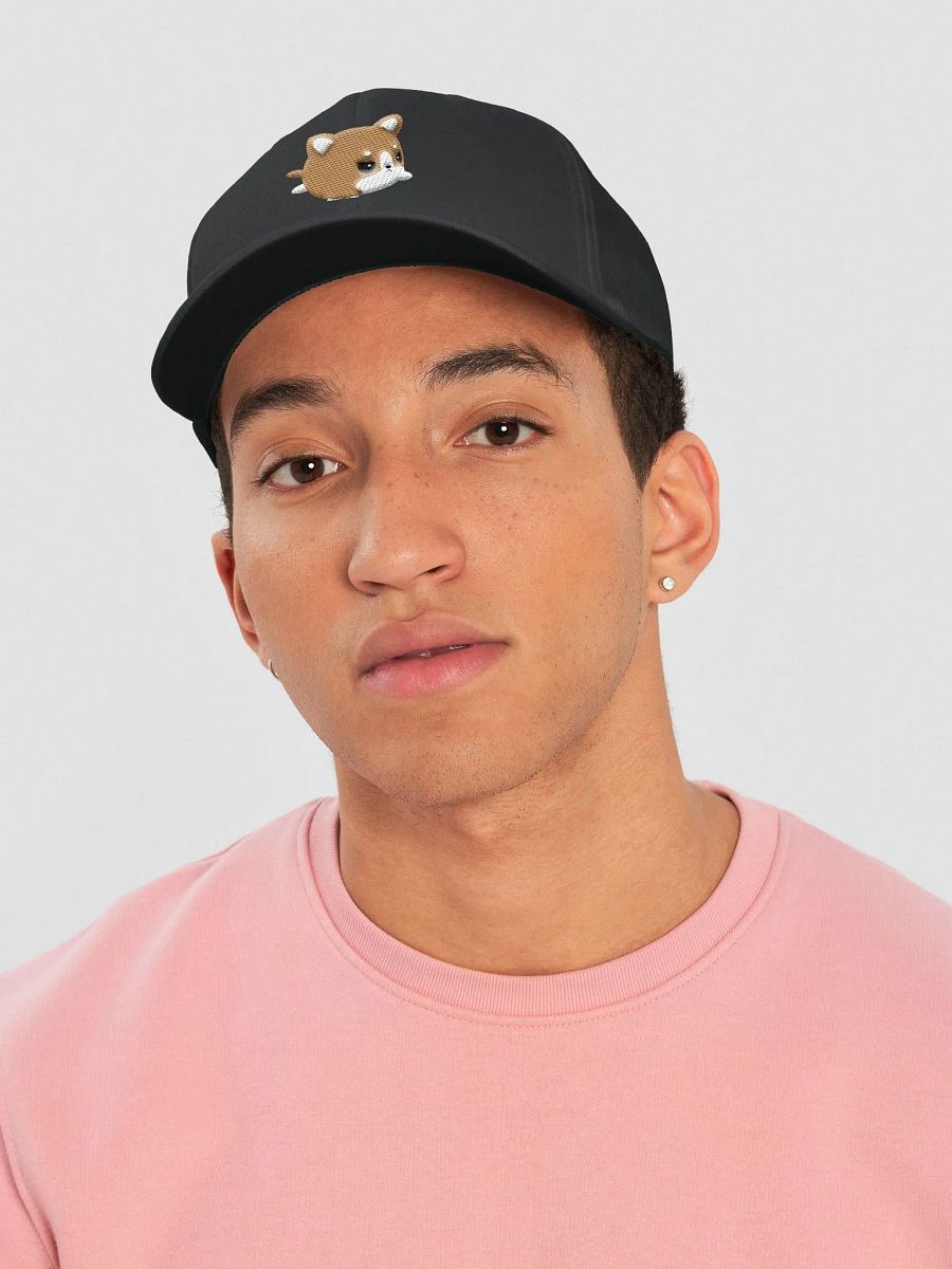 FlexFit Bad Bork Cap product image (3)