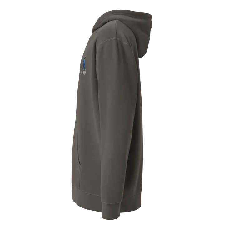 Ron Collection - Embroidered Hoodie product image (2)