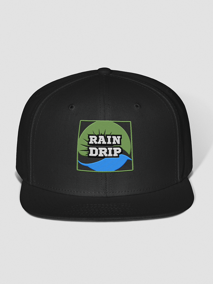 Leafy Drip Wool Snapback product image (1)