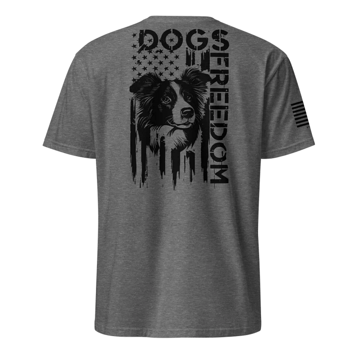 Dogs and Freedom: Border Collie product image (5)