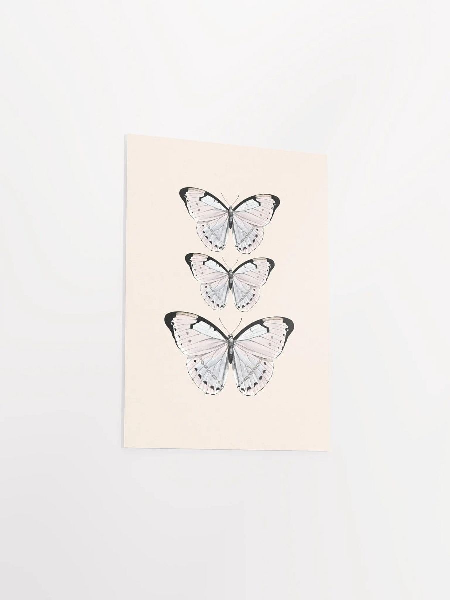 Butterfly Trio Matte Poster product image (20)