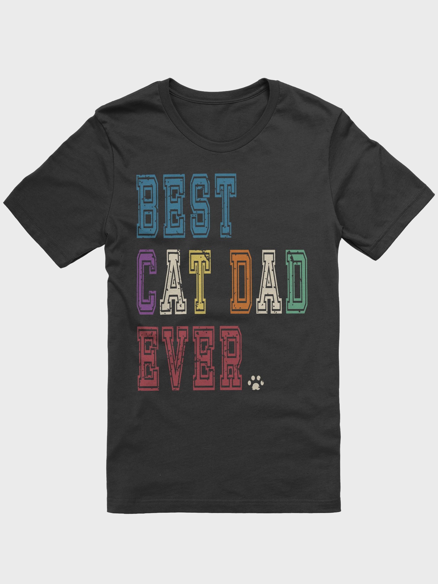 Best Cat Dad Ever 2 - Unisex Adult Super Soft Lightweight T-shirt product image (1)