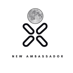 New Ambassador