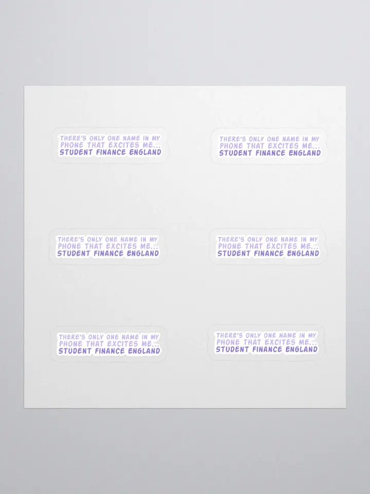 Student Finance Sticker (MEDIUM Sheet) product image (1)