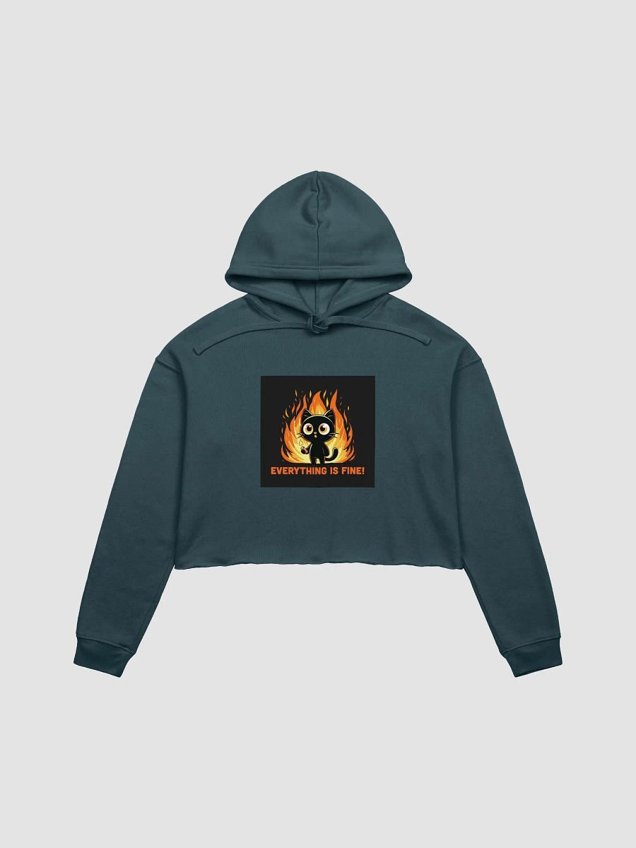 Ironic Feline Chaos in Flames Crop Hoodie product image (9)