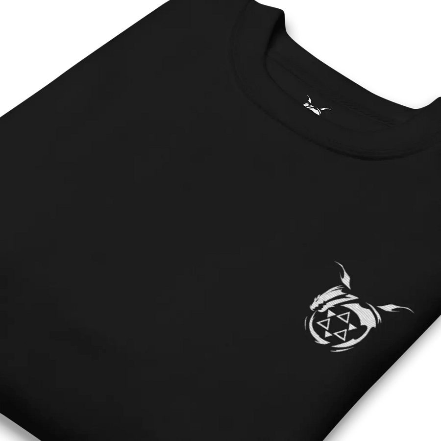 SC Sweatshirt product image (17)