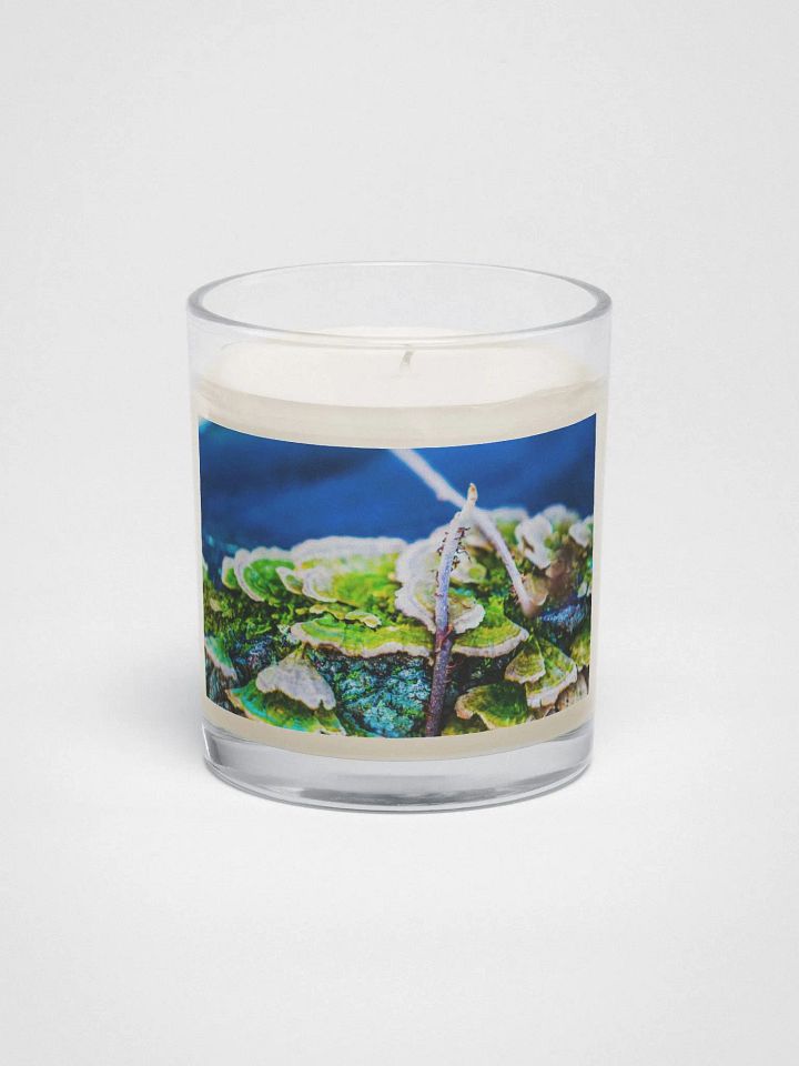 Vibrant Soy Candle product image (1)