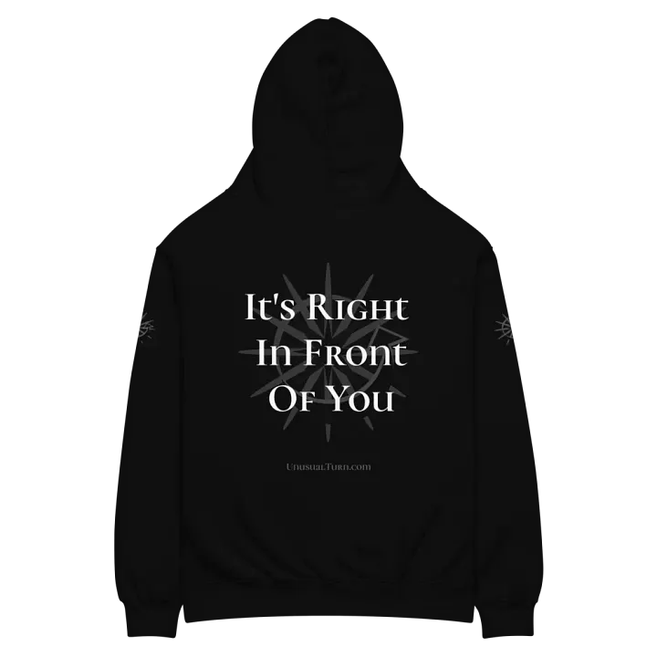 What You Want Premium Oversized Hoodie product image (2)