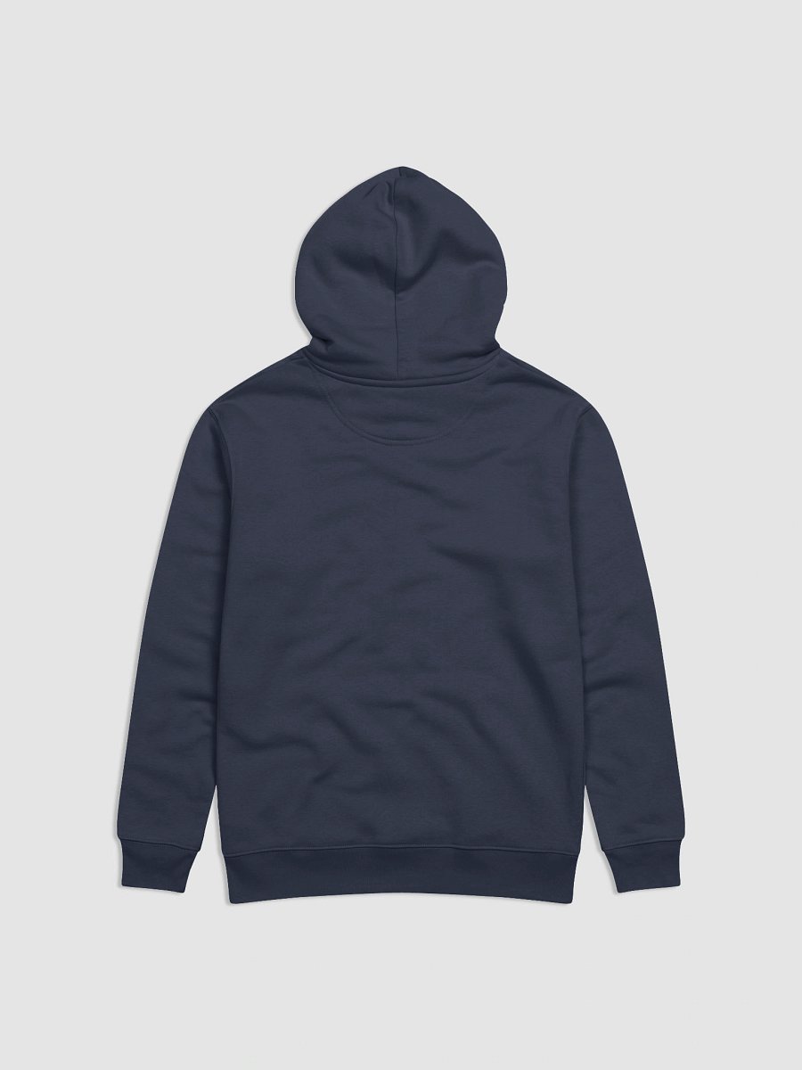 The Freedom Hoodie product image (2)