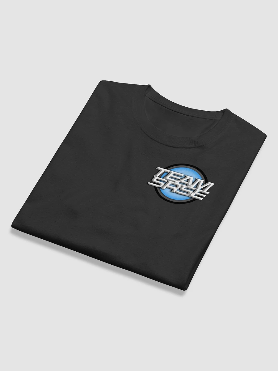 TeamSRSE Champion Long Sleeve T-Shirt product image (5)