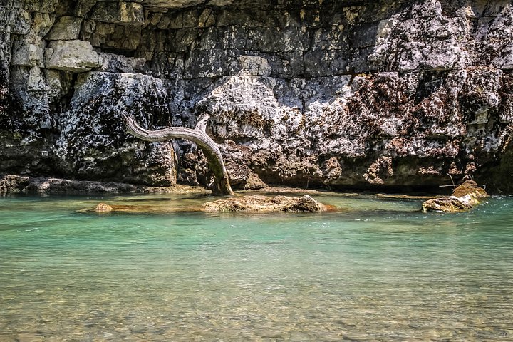 Fine Art Photography - Wild Roots of Verdon - France product image (1)