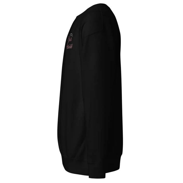 Embroidered Sweatshirt (no wings) - God's Favorite product image (2)