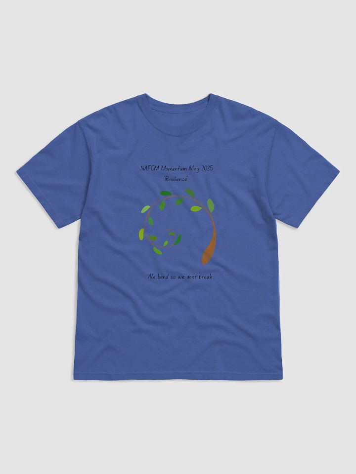 Limited Edition 2025 Momentum May T-shirt product image (7)