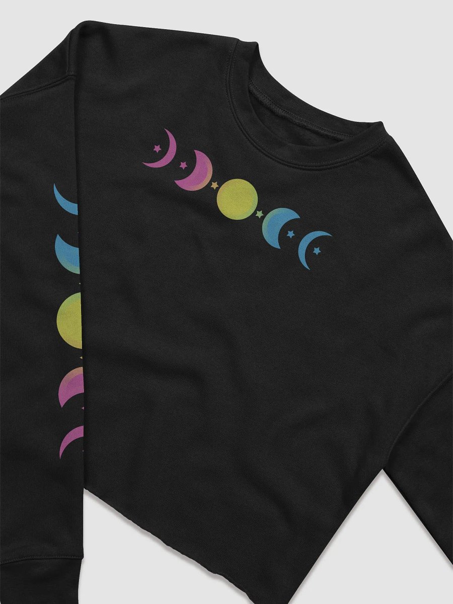 Phasing Through the Moon Pansexual Crop Sweatshirt product image (3)