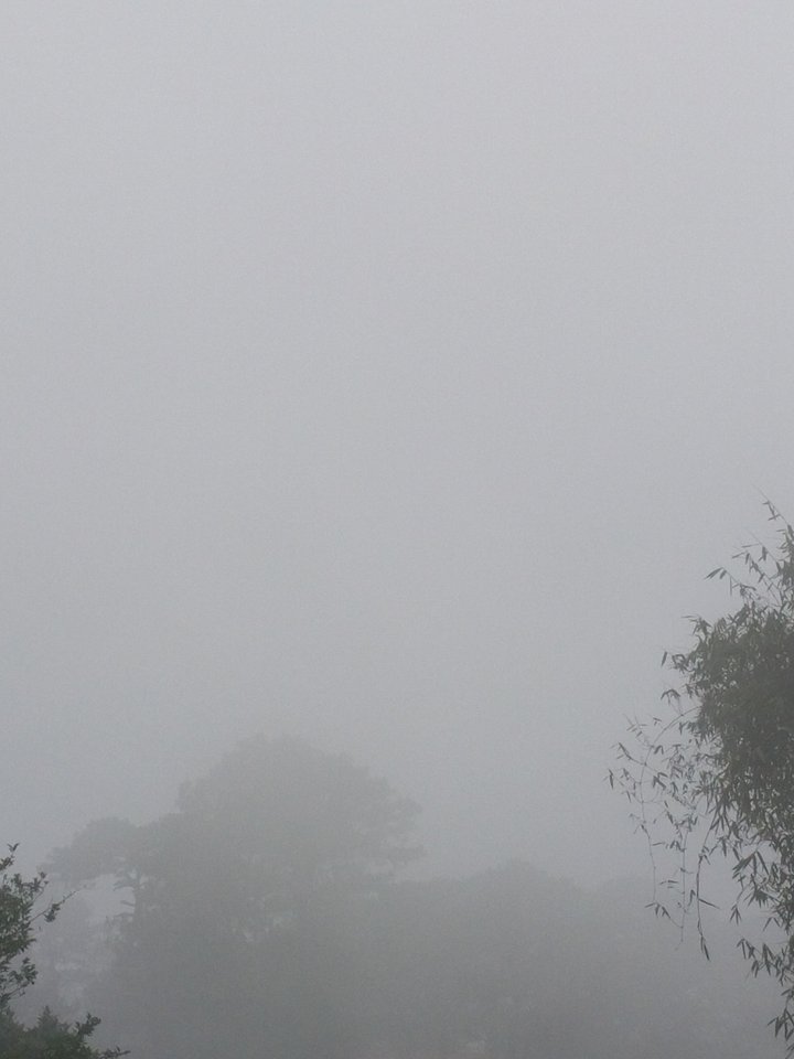 Foggy Hillside View | Instrumental Music product image (1)