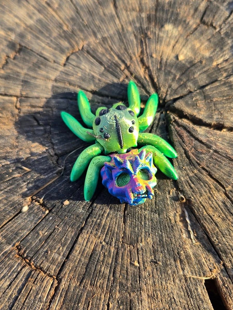 Adopt a Spider! product image (7)