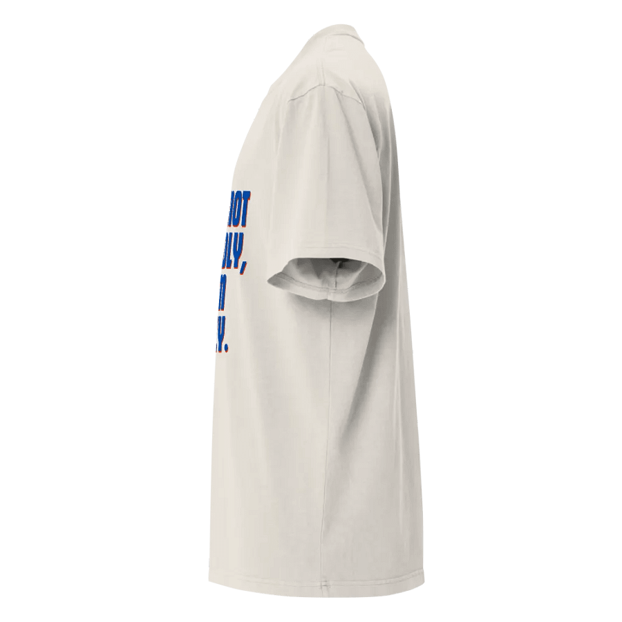 Premium Oversized Faded T-Shirt product image (17)