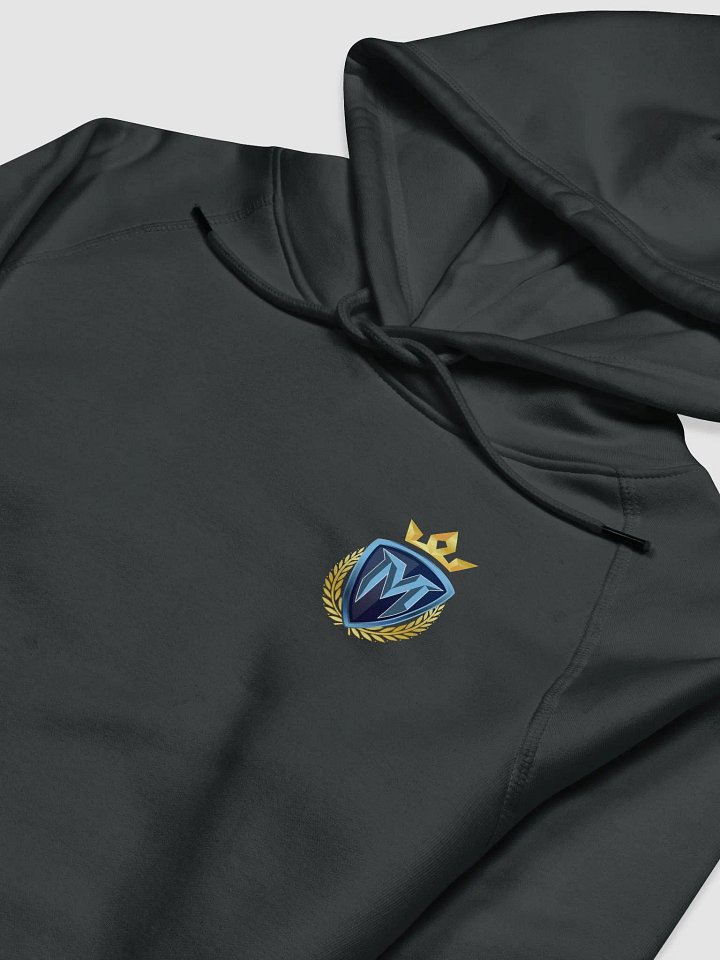 ECO FRIENDLY ROYAL HOODIE- UNISEX product image (1)
