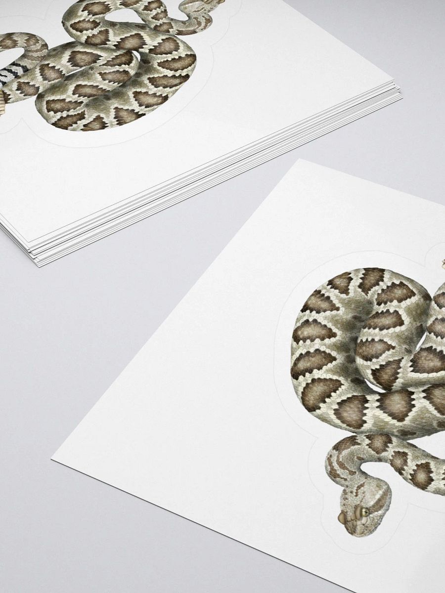 Die-Cut Sticker – Mojave Rattlesnake product image (4)