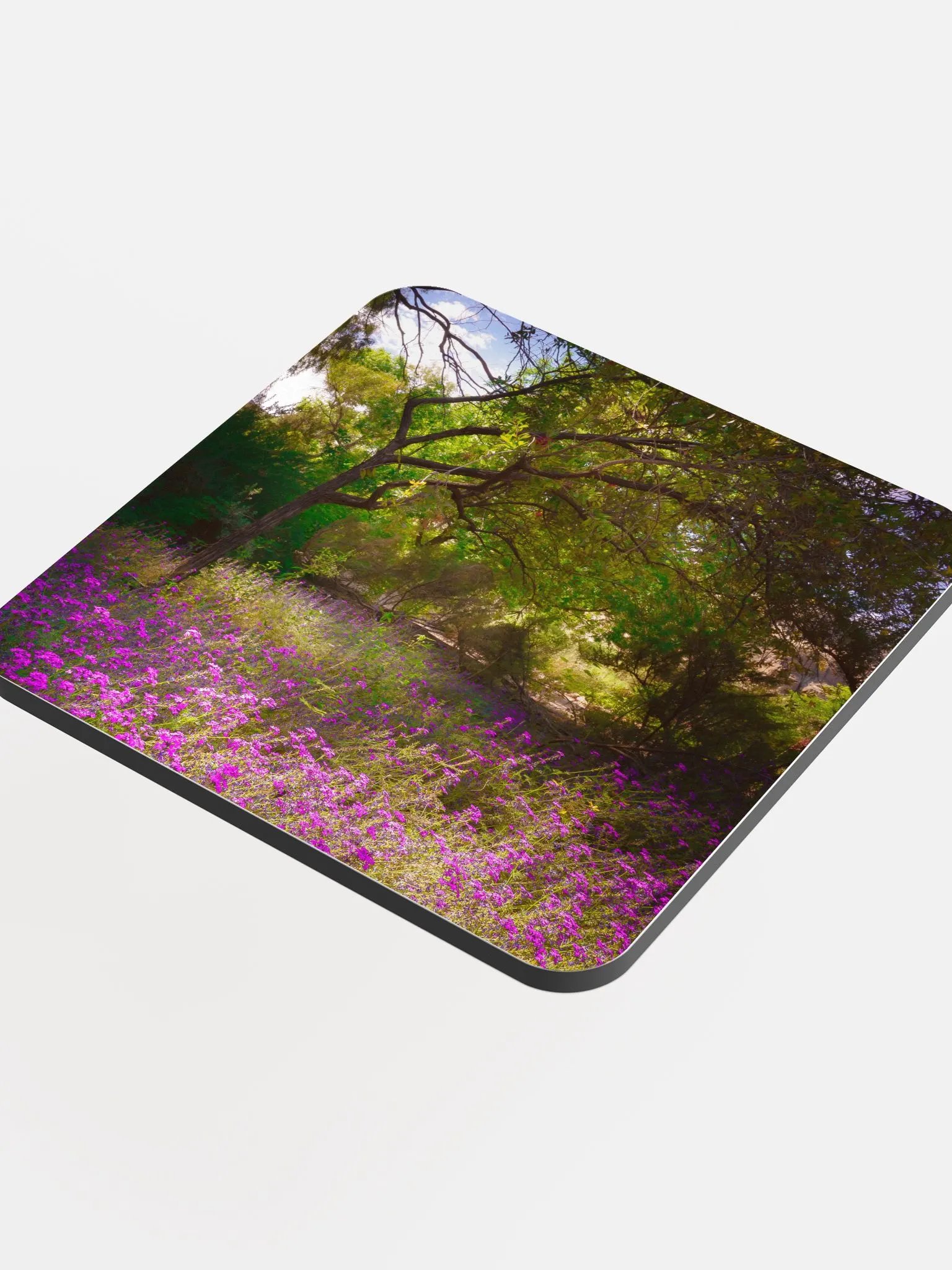 Wildflowers in Light Coaster product image (4)