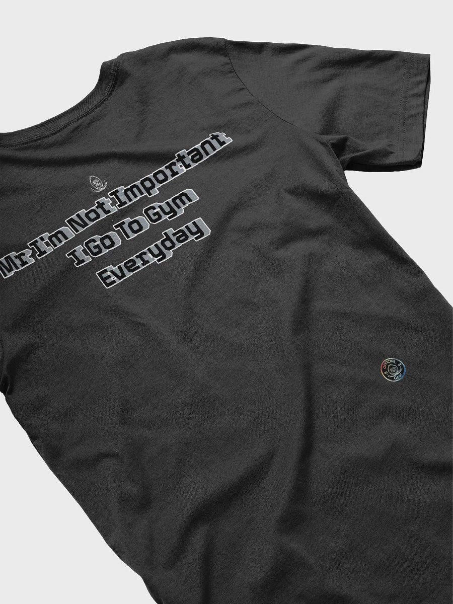 I go to the Gym Everyday - Supersoft T-Shirt - Mr I'm Not Important product image (4)