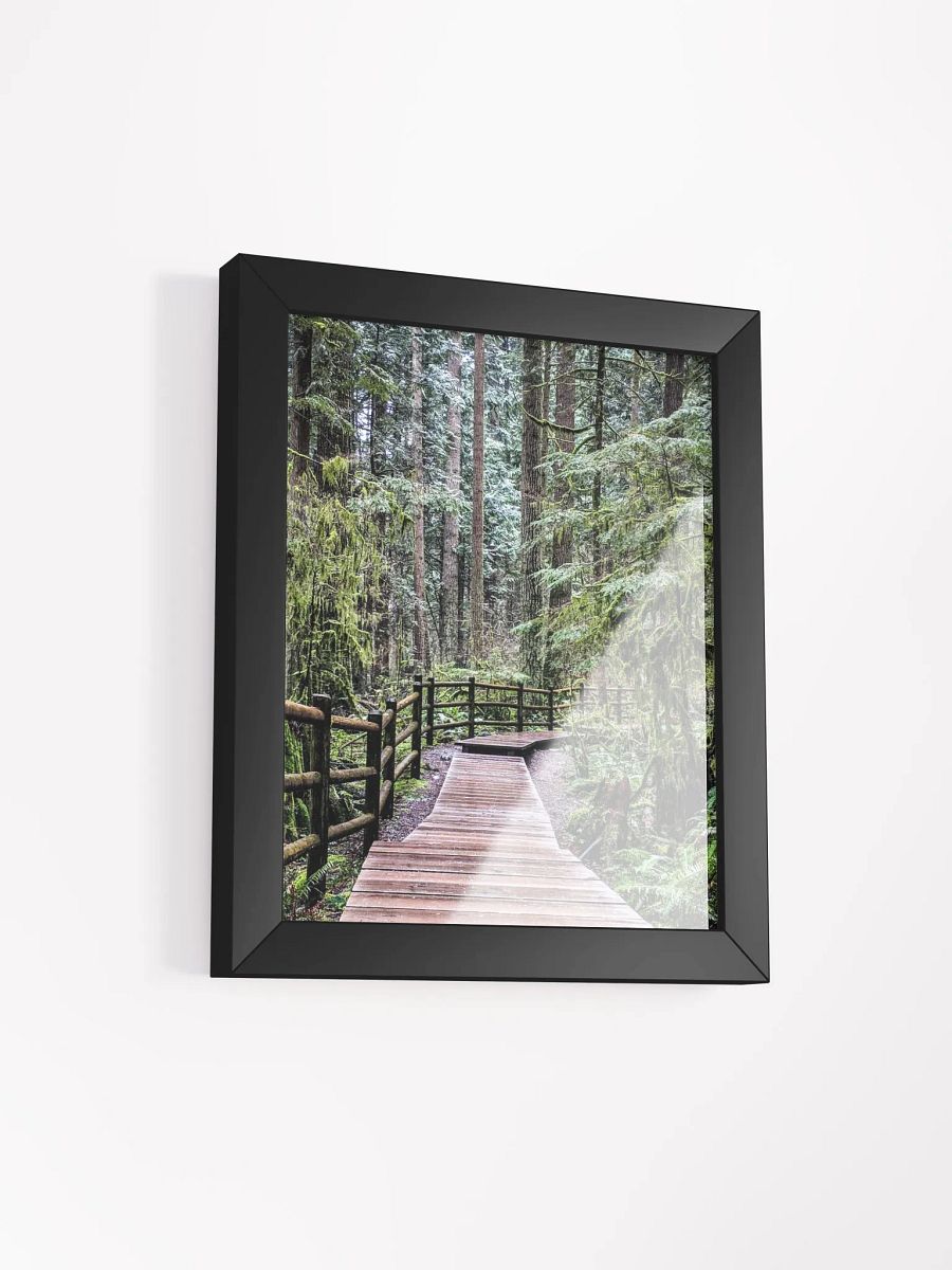 Lynn Canyon Park product image (14)