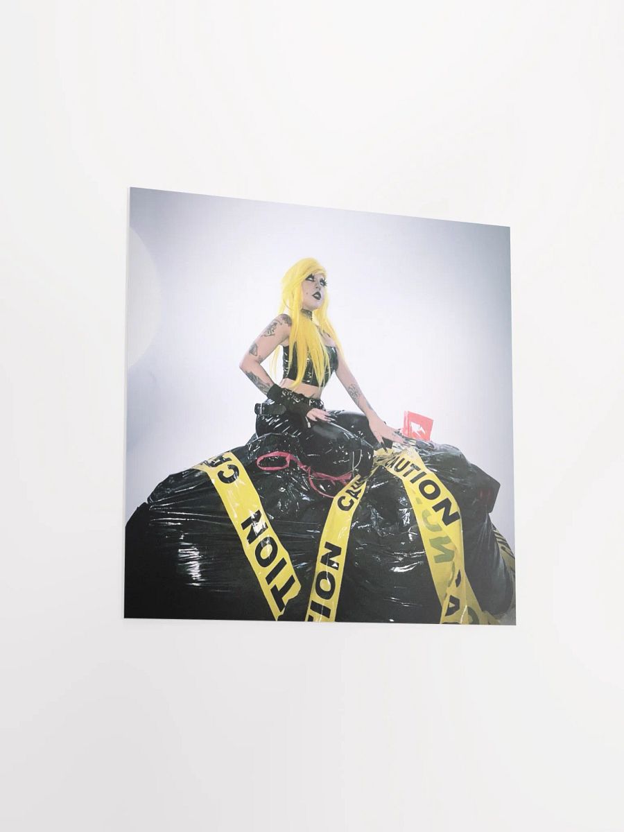 Disposable v 1 Poster product image (15)