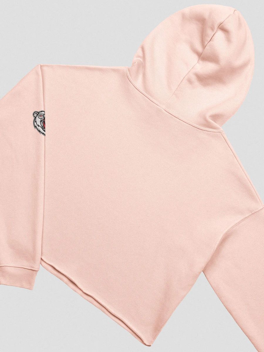 DaLegacy23 White Logo Crop Hoodie product image (13)