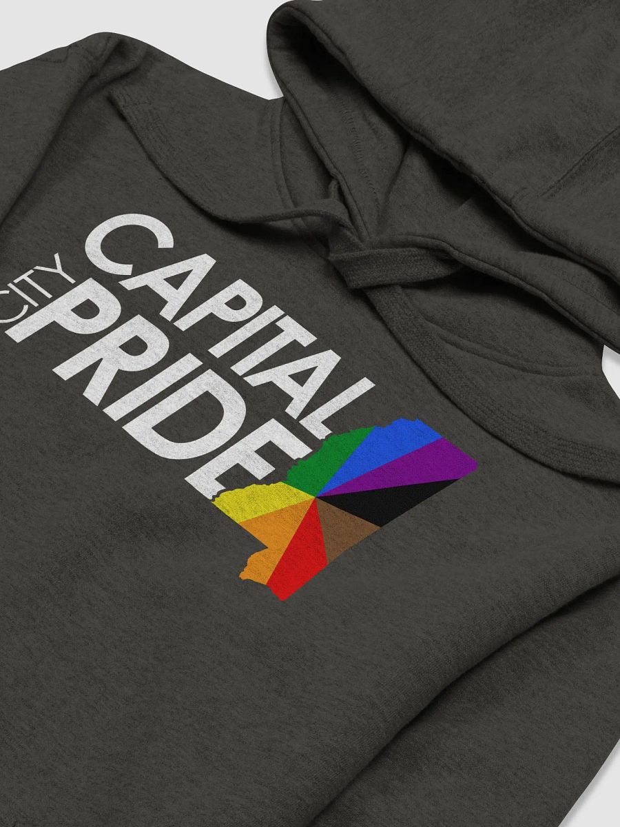 Logo Hoodie product image (3)