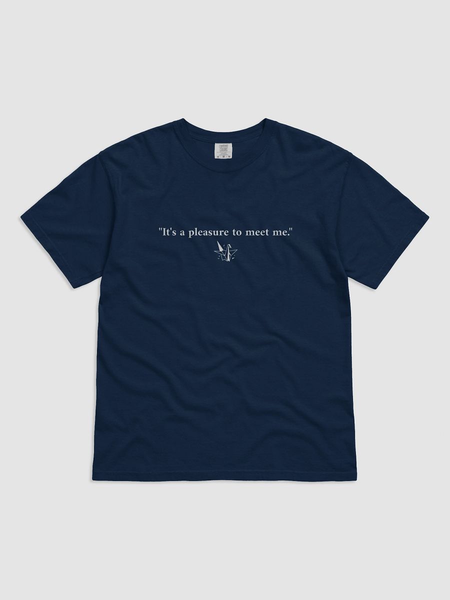"It's a pleasure to meet me" T-Shirt product image (2)