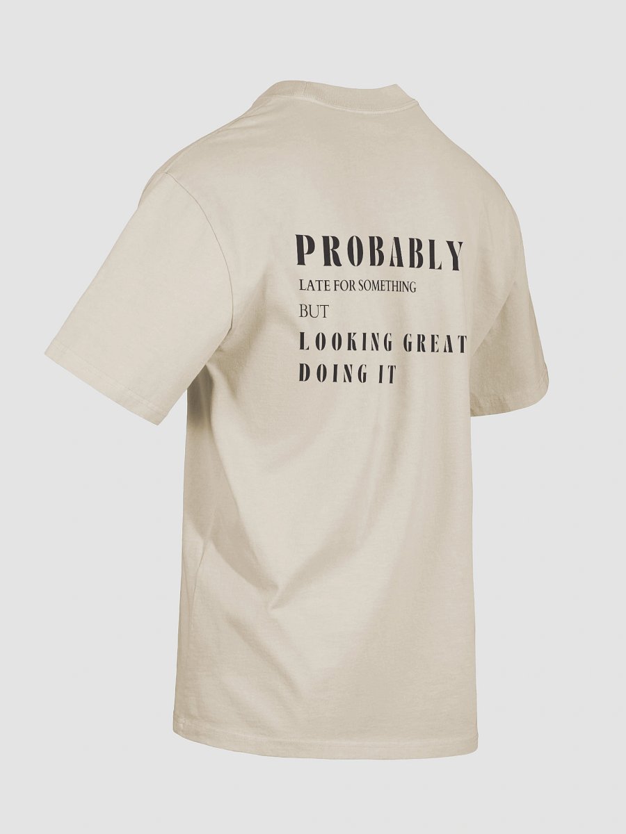 Nostalgic Elegance Faded 'Probably Late But Looking Great' T-Shirt product image (8)