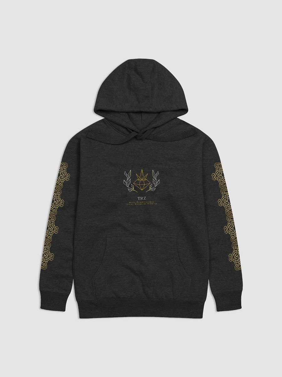 Golden Symmetry Premium Hoodie product image (11)