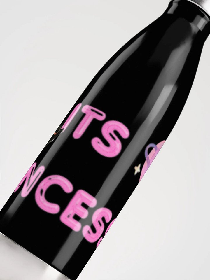 Whimsical Princess Stainless Steel Water Bottle product image (3)