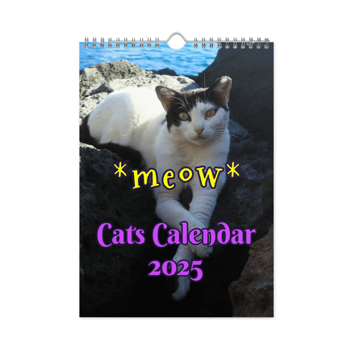 Calendar 2025 - Cats *meow* product image (1)