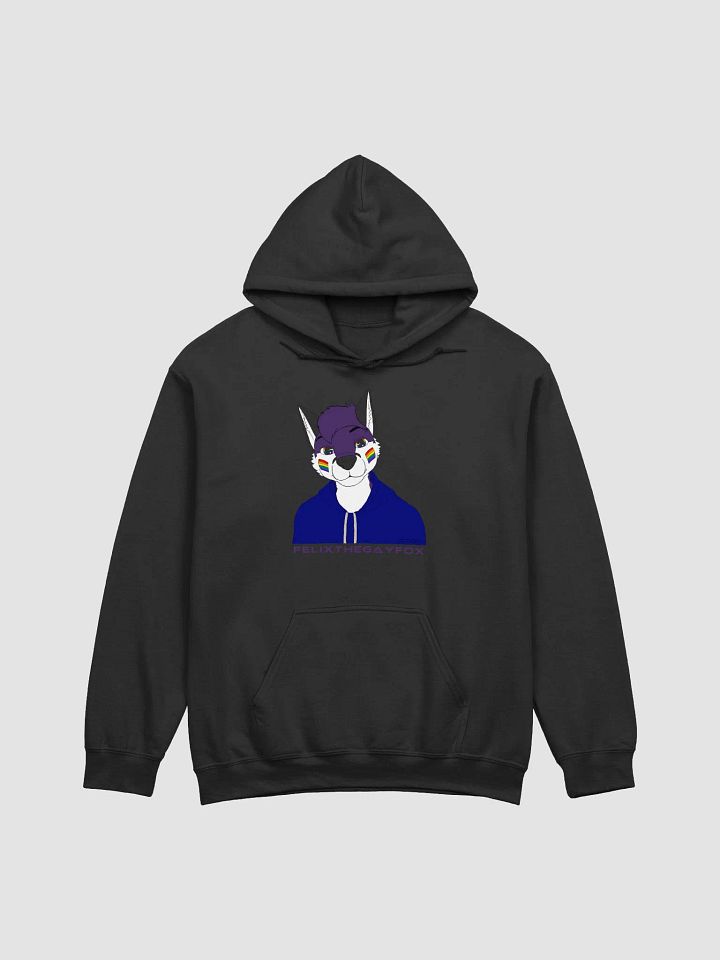 FelixTheGayFox Hoodie product image (5)
