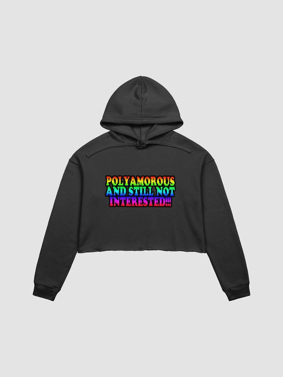 Polyamorous and Still not Interested Crop Top Hoodie product image (1)