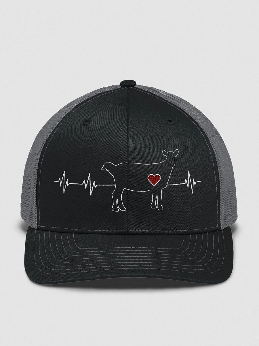 Goat EKG product image (2)
