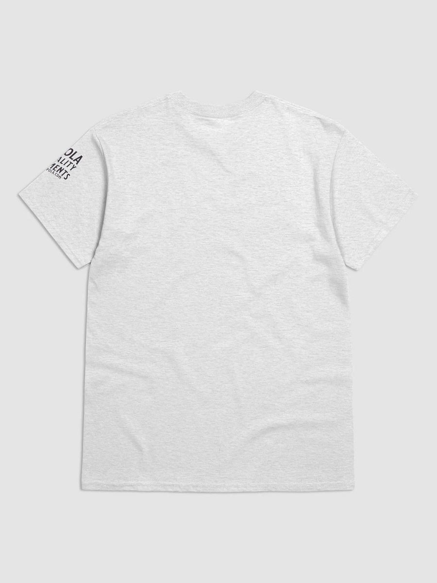 The Florida Treasure Tee product image (3)