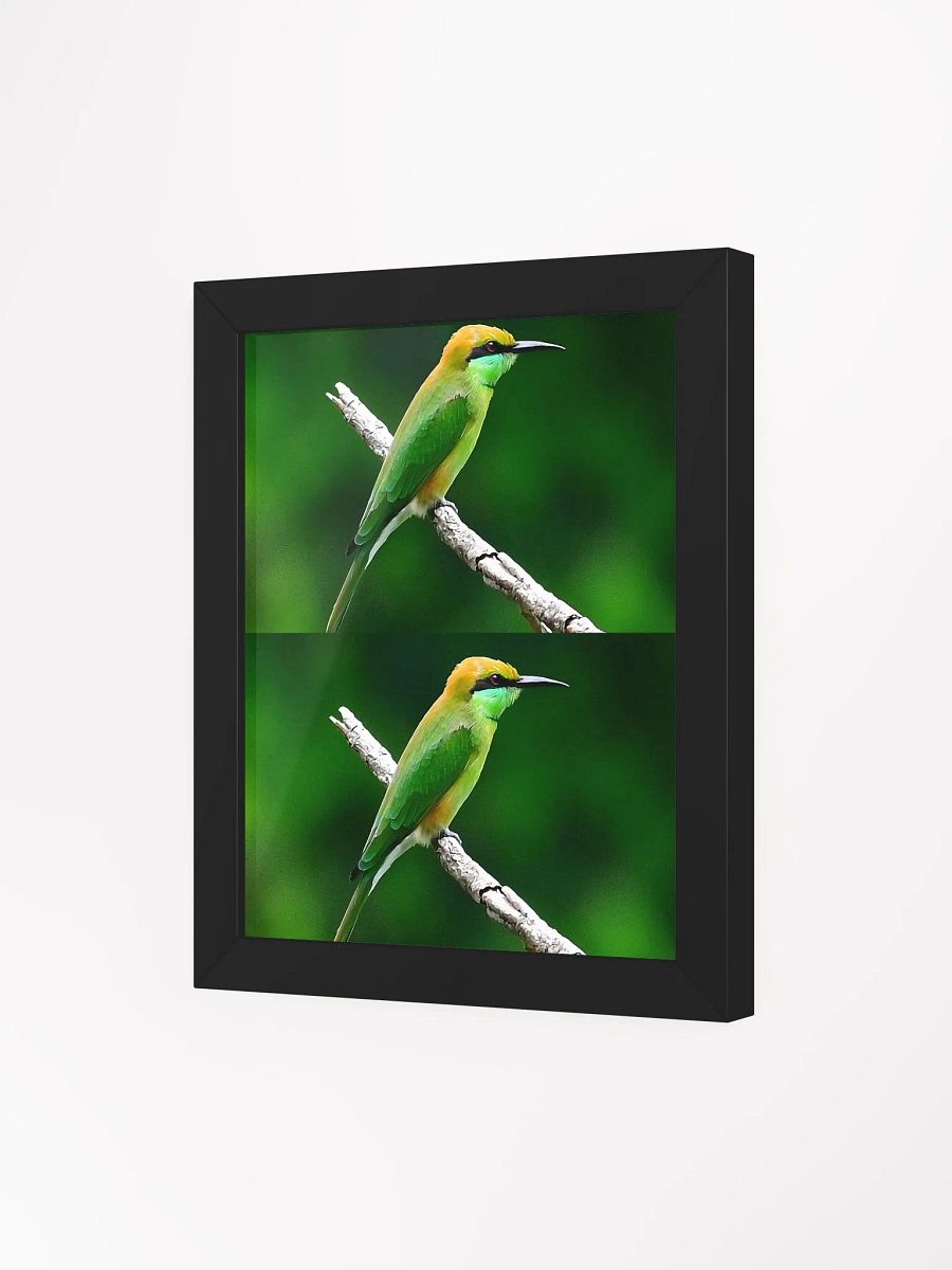 Framed High-Quality Matte BIrds Poster product image (9)
