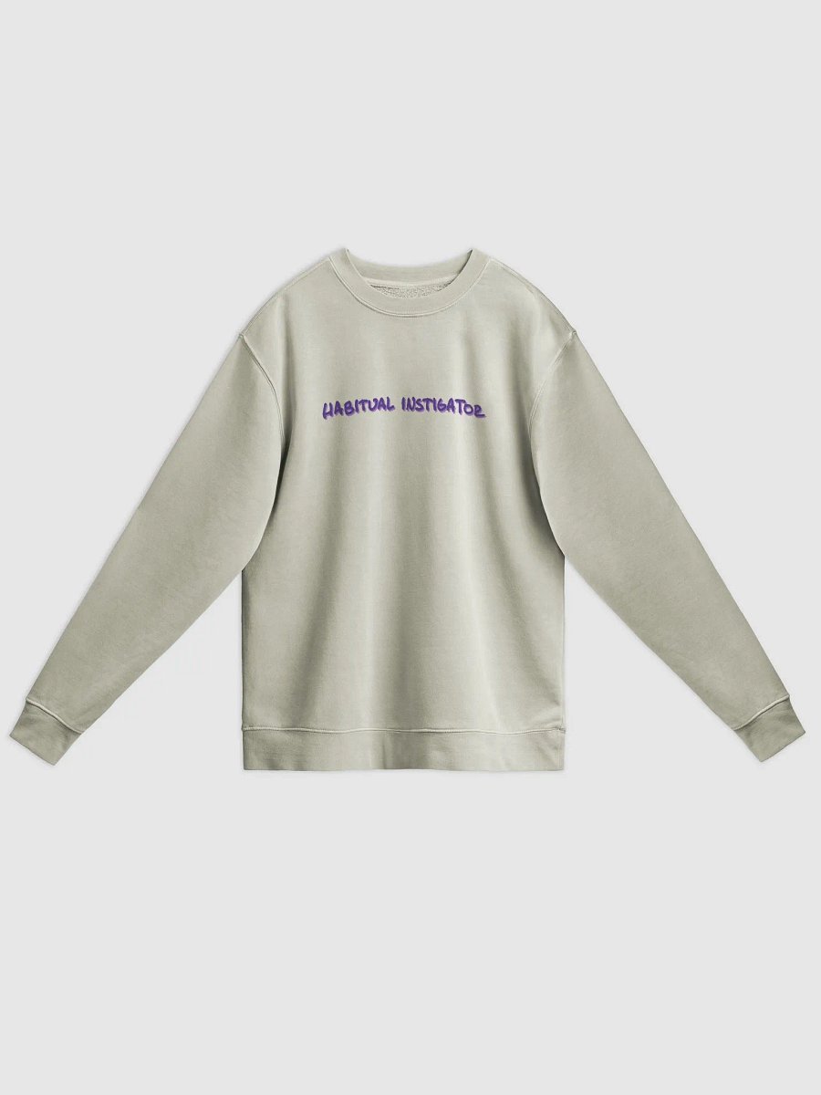 HABITUAL INSTIGATOR (berry long-line design) printed pigment crewneck product image (3)