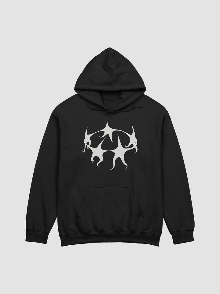 STAR DANCE HOODIE product image (1)